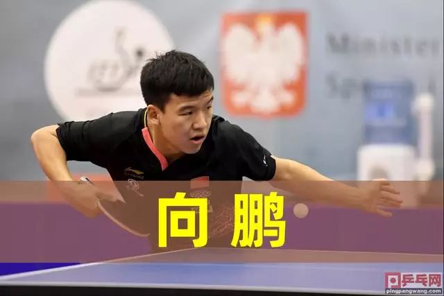 球迷纷纷质 球迷纷纷质