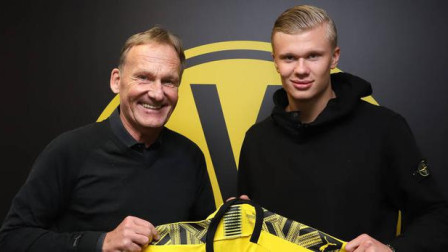 性高峰转化 性高峰转化